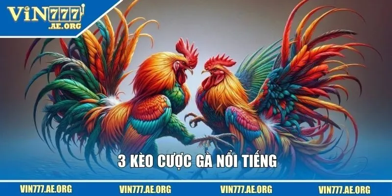 3 kèo cược gà nổi tiếng